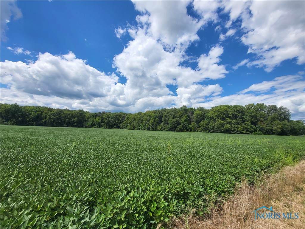 0 Dixie Highway - Photo 1