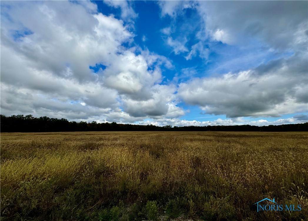 0 Switzer Road - Photo 1