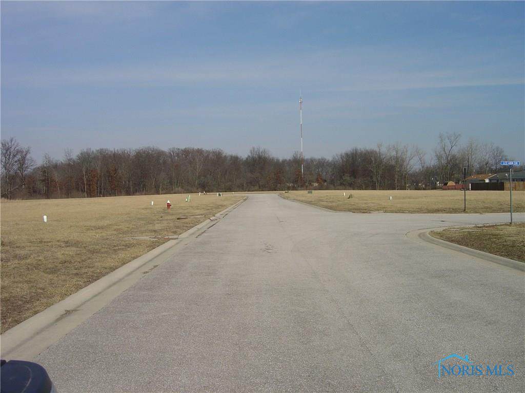 1506 Lee Ann Avenue - Photo 1