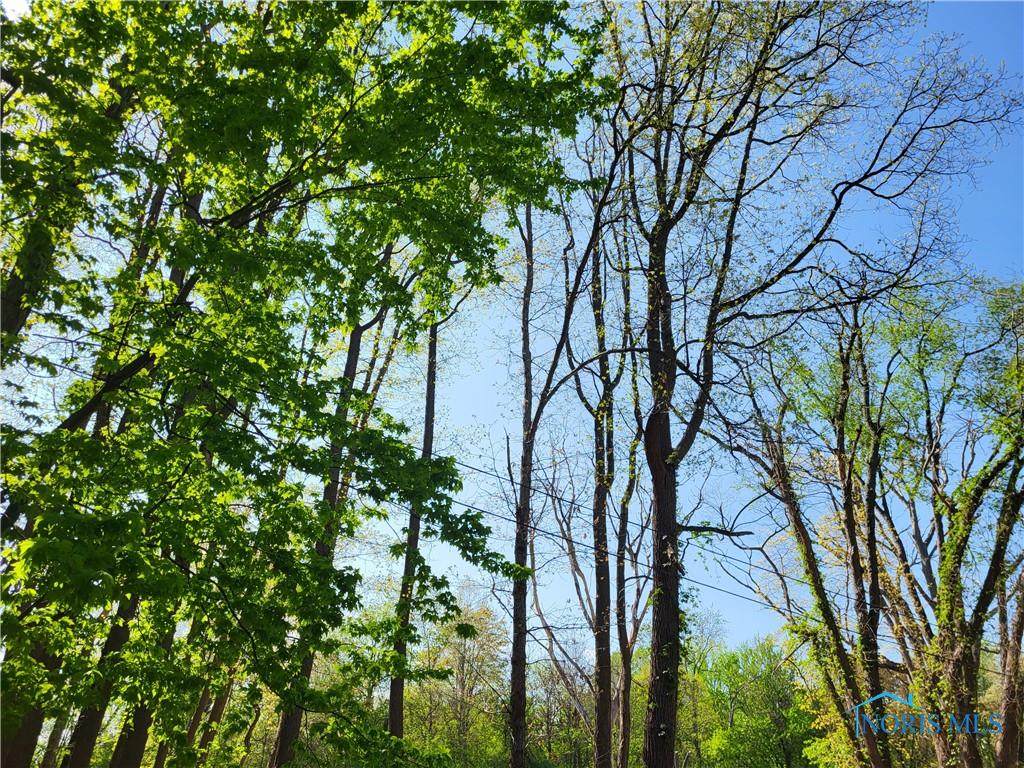 5949 & 5953 Roan Road - Photo 1