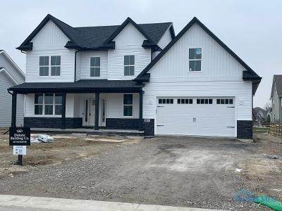 3833 Ten Mile Creek Drive - Photo 1