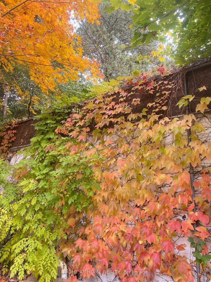 48 The Bridle Path - Photo 1