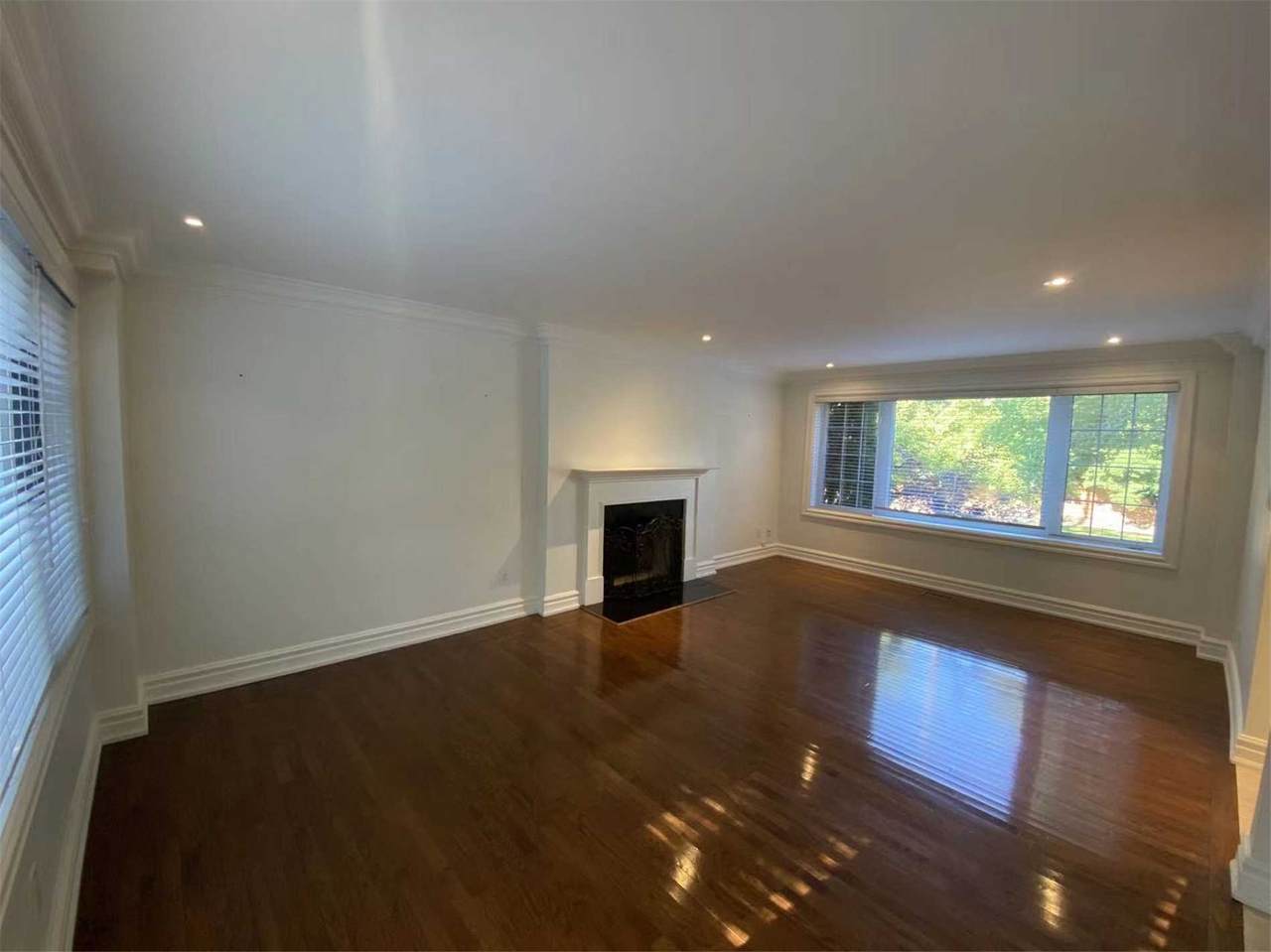 229 Old Yonge St - Photo 1