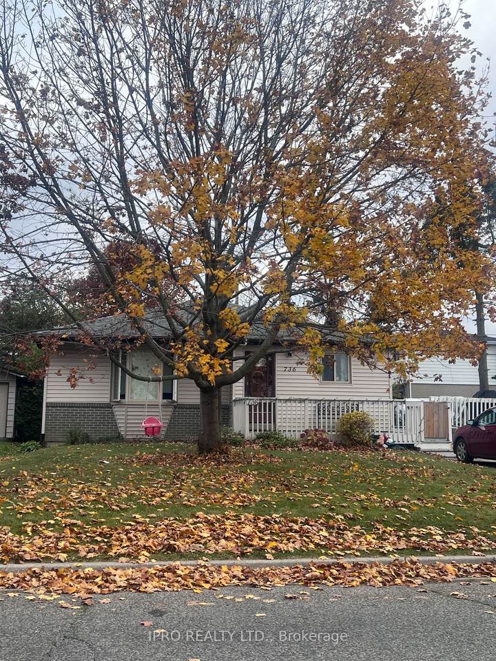 736 Annland Street - Photo 1