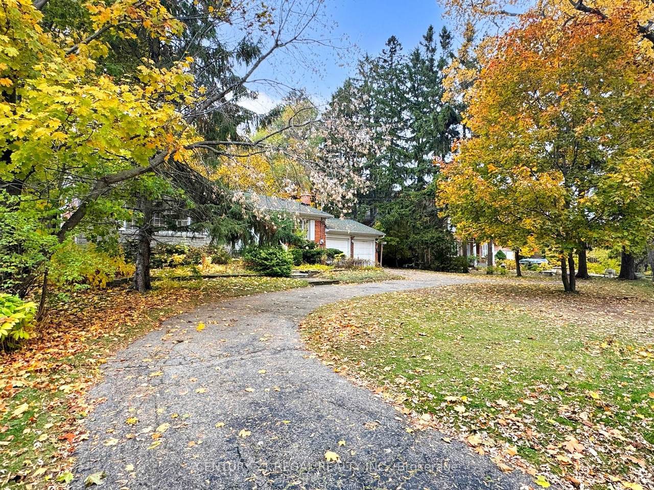 https://bt-photos.global.ssl.fastly.net/toronto/1280_boomver_1_E12849502-1.jpg