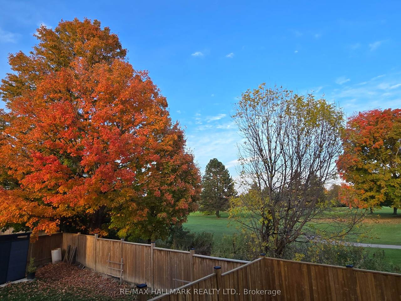 71 Titan Trail - Photo 1