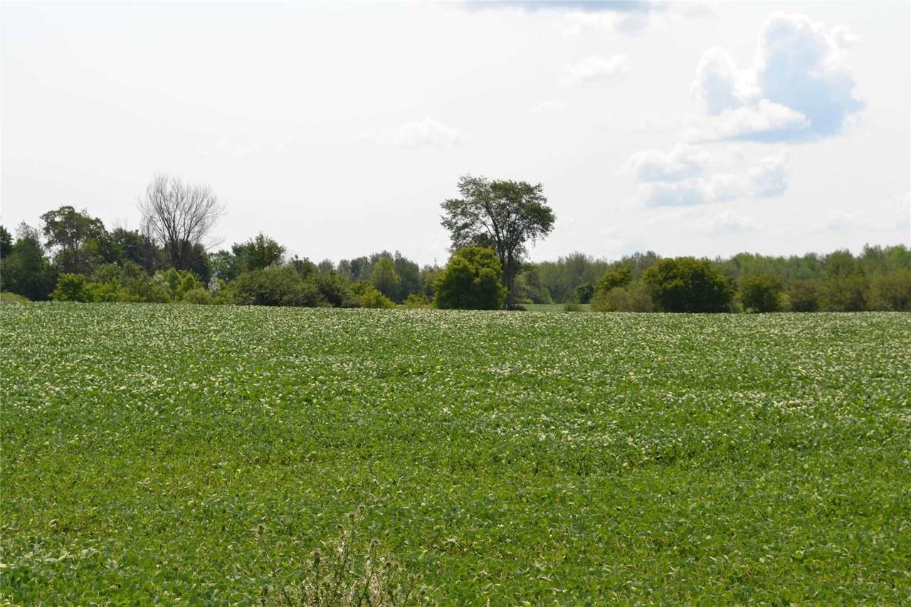 2669 10th Line - Photo 1