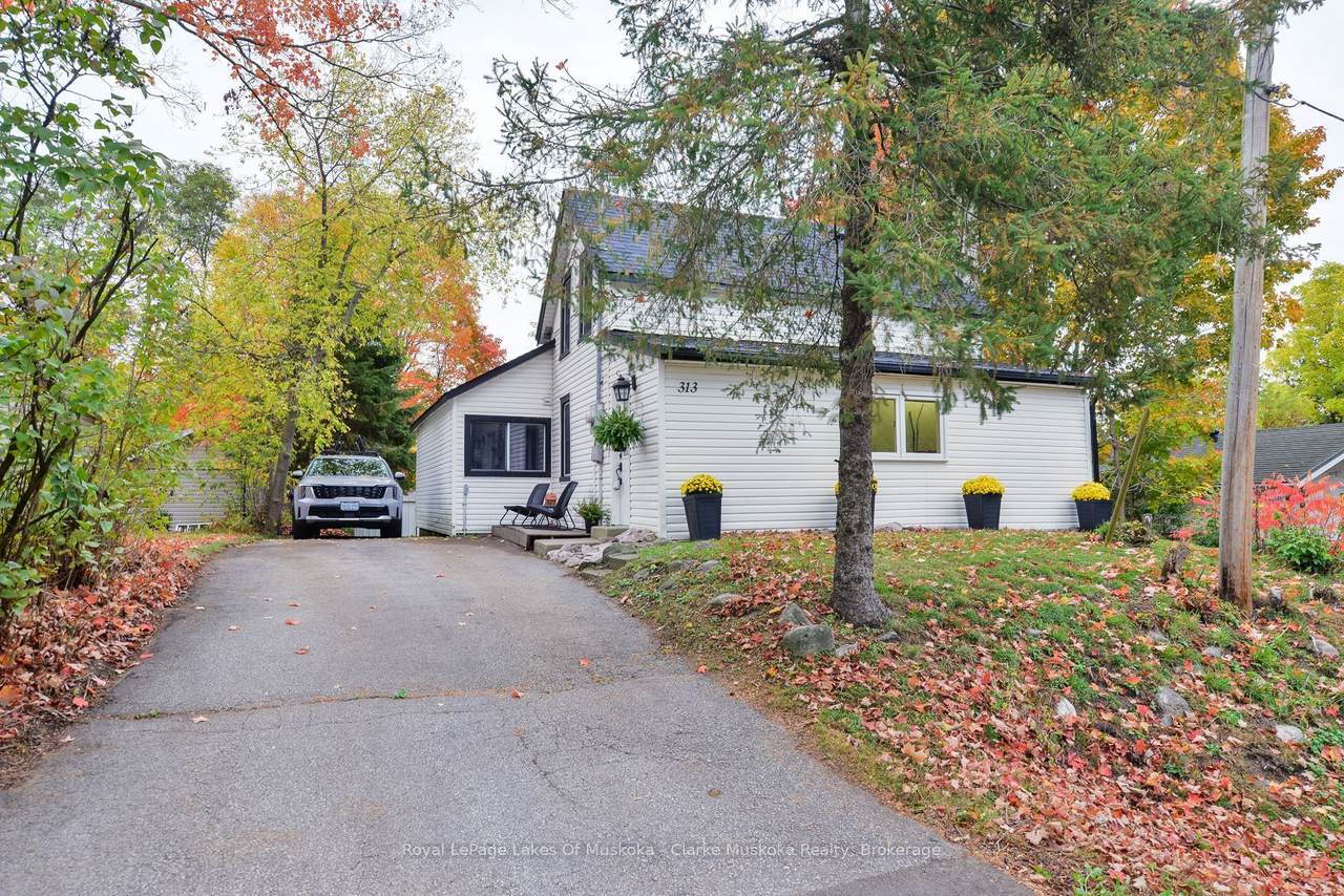 313 Ouida Street - Photo 1