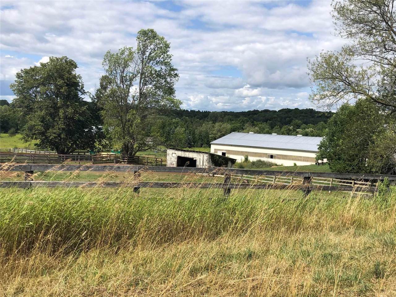 17402 Humber Station Rd - Photo 1