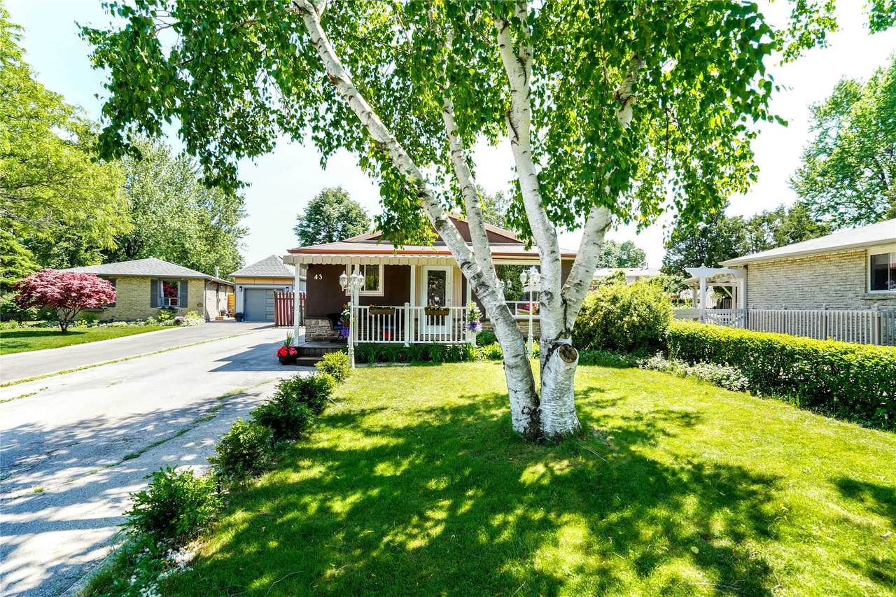 43 Reigate Ave - Photo 1