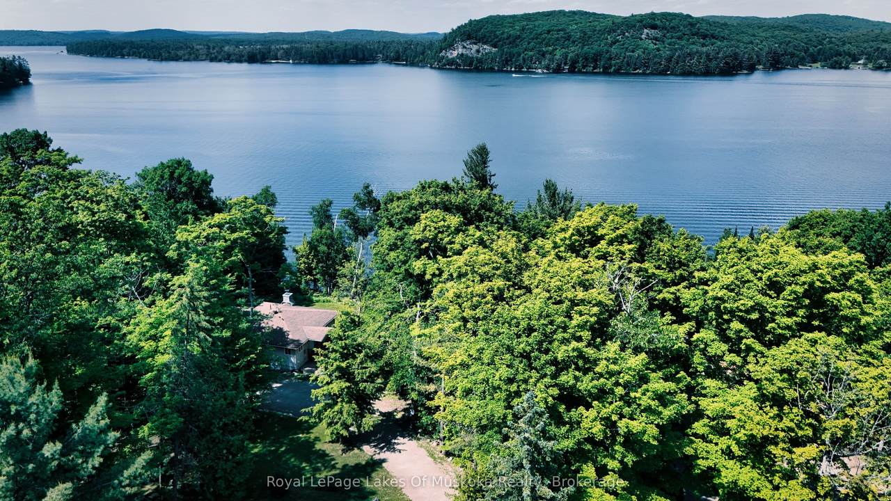4441 Muskoka Rd 117 Road - Photo 1