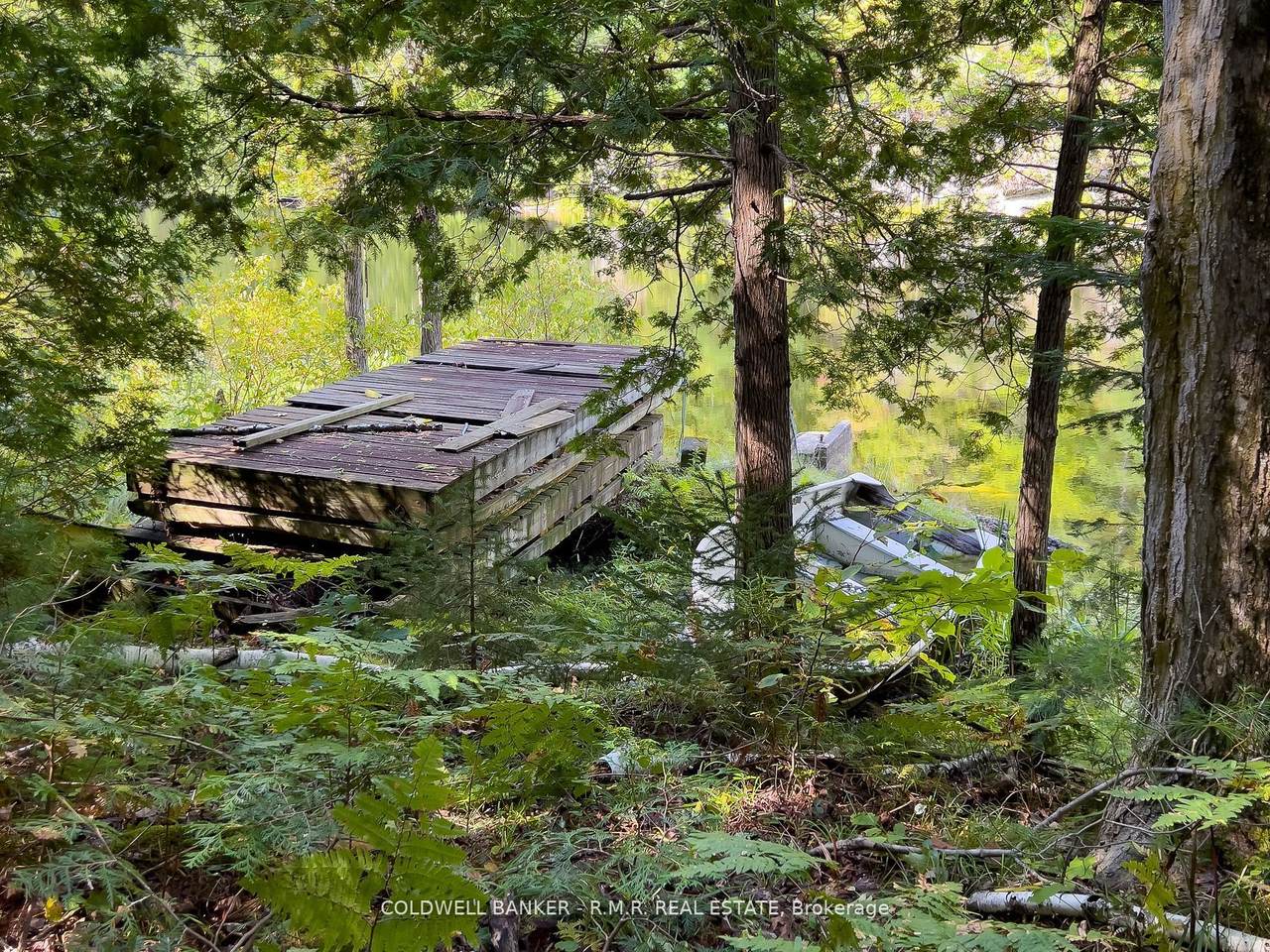 https://bt-photos.global.ssl.fastly.net/toronto/orig_boomver_1_X11979025-2.jpg