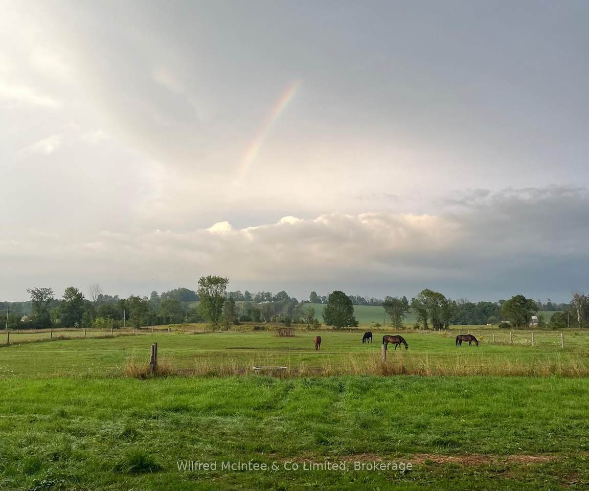 442146 Concession Road 8 Road - Photo 1