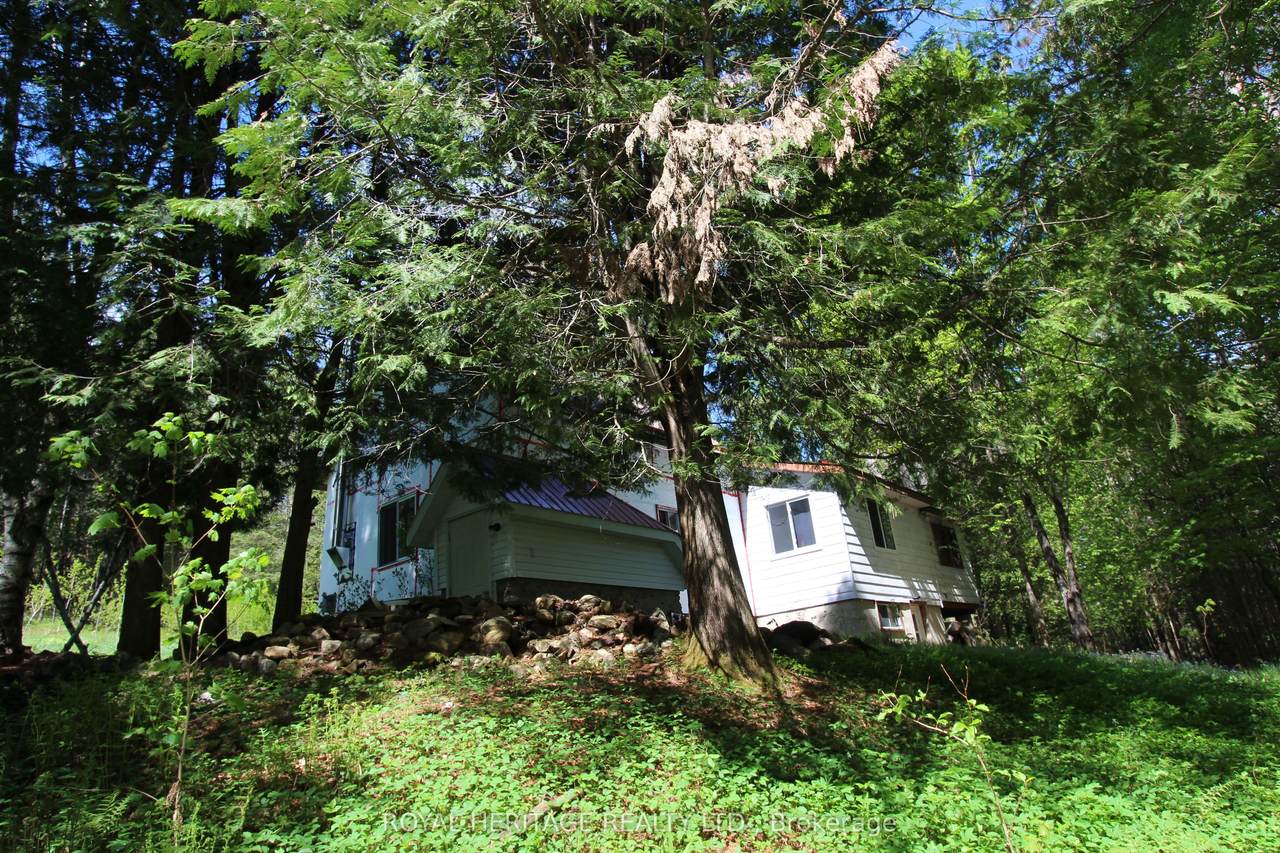 1059 Tortoise Drive - Photo 1