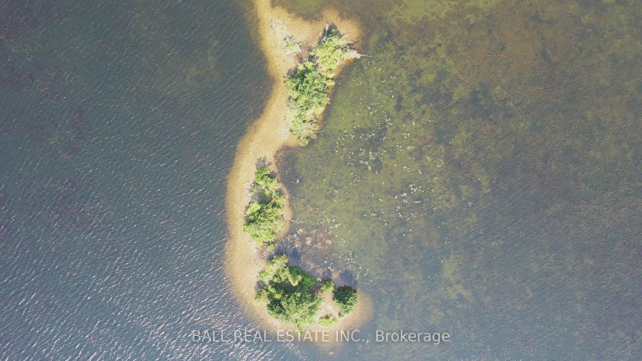 PT LT 1 Con 5 Island - Photo 1