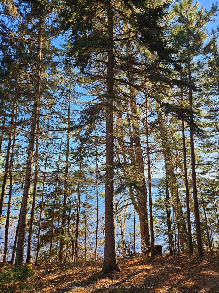 1173 Lake Of Two Rivers N/A - Photo 1