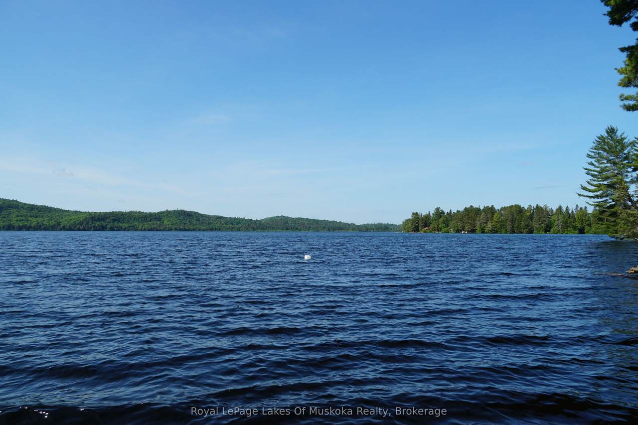 https://bt-photos.global.ssl.fastly.net/toronto/1280_boomver_1_X12950918-1.jpg