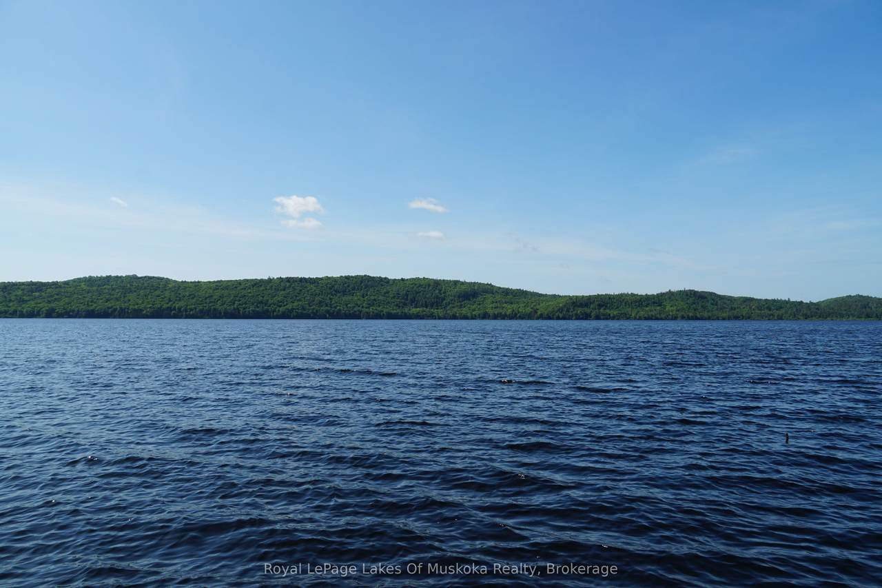 https://bt-photos.global.ssl.fastly.net/toronto/1280_boomver_1_X12950918-1.jpg