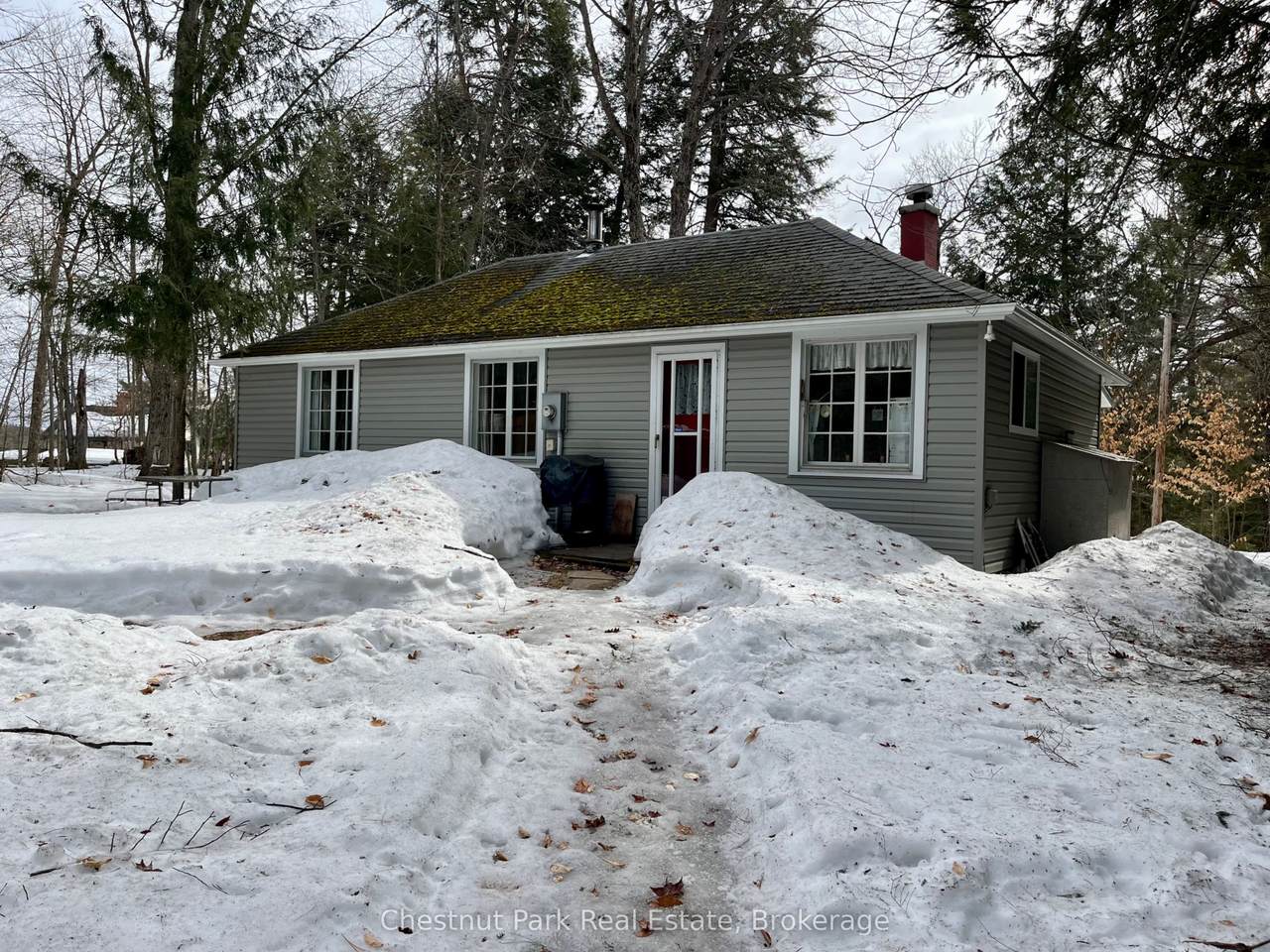 34 Harris Street - Photo 1