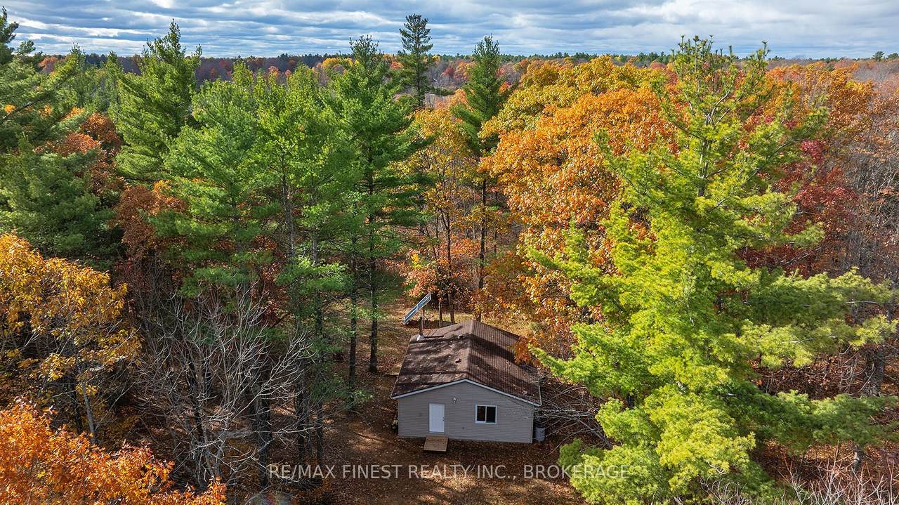 1131A Moon Road - Photo 1