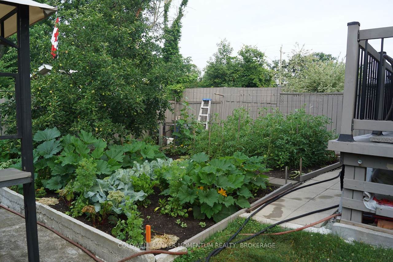 121 Albert Street - Photo 1