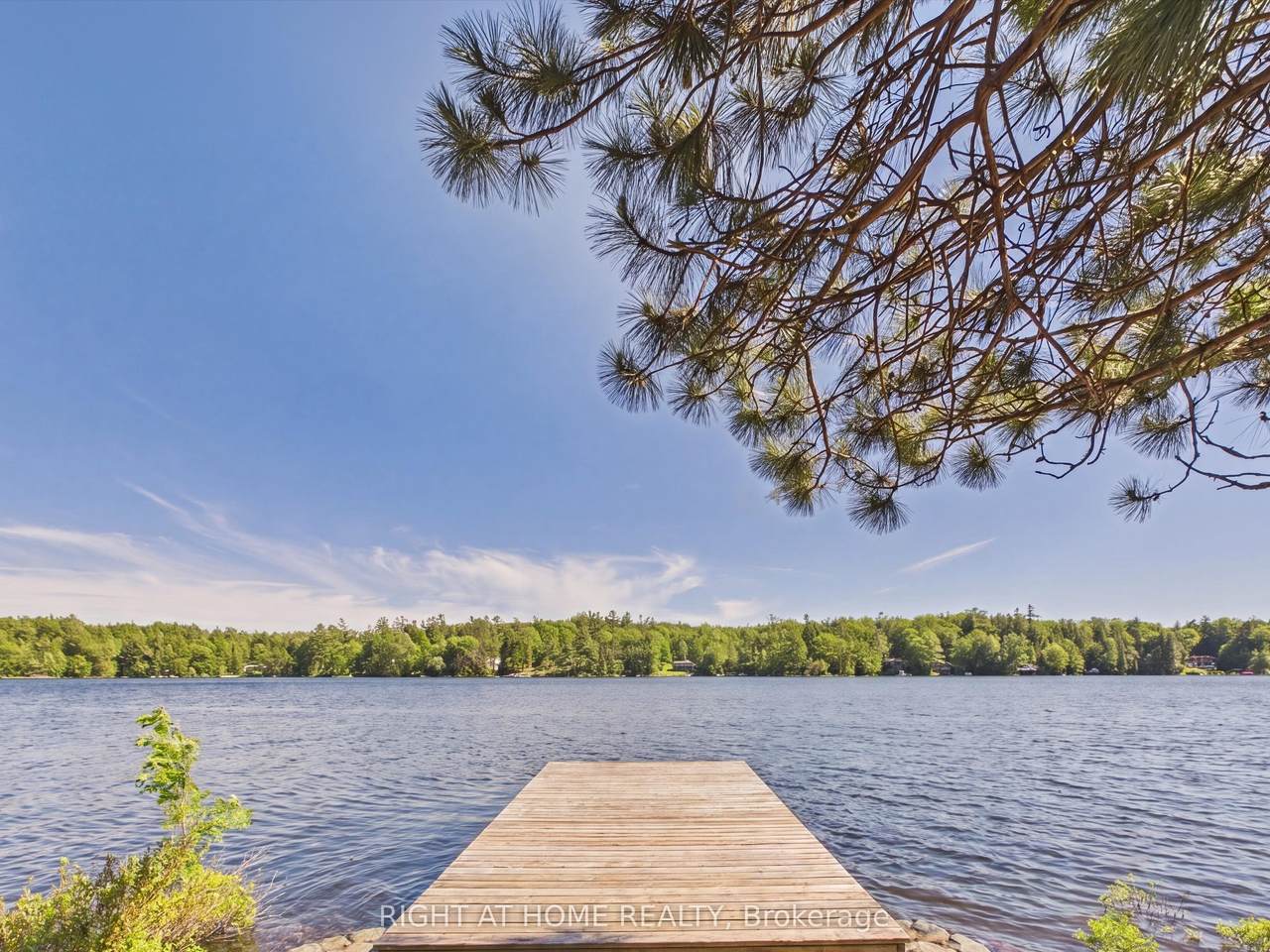 https://bt-photos.global.ssl.fastly.net/toronto/1280_boomver_1_X13475642-1.jpg