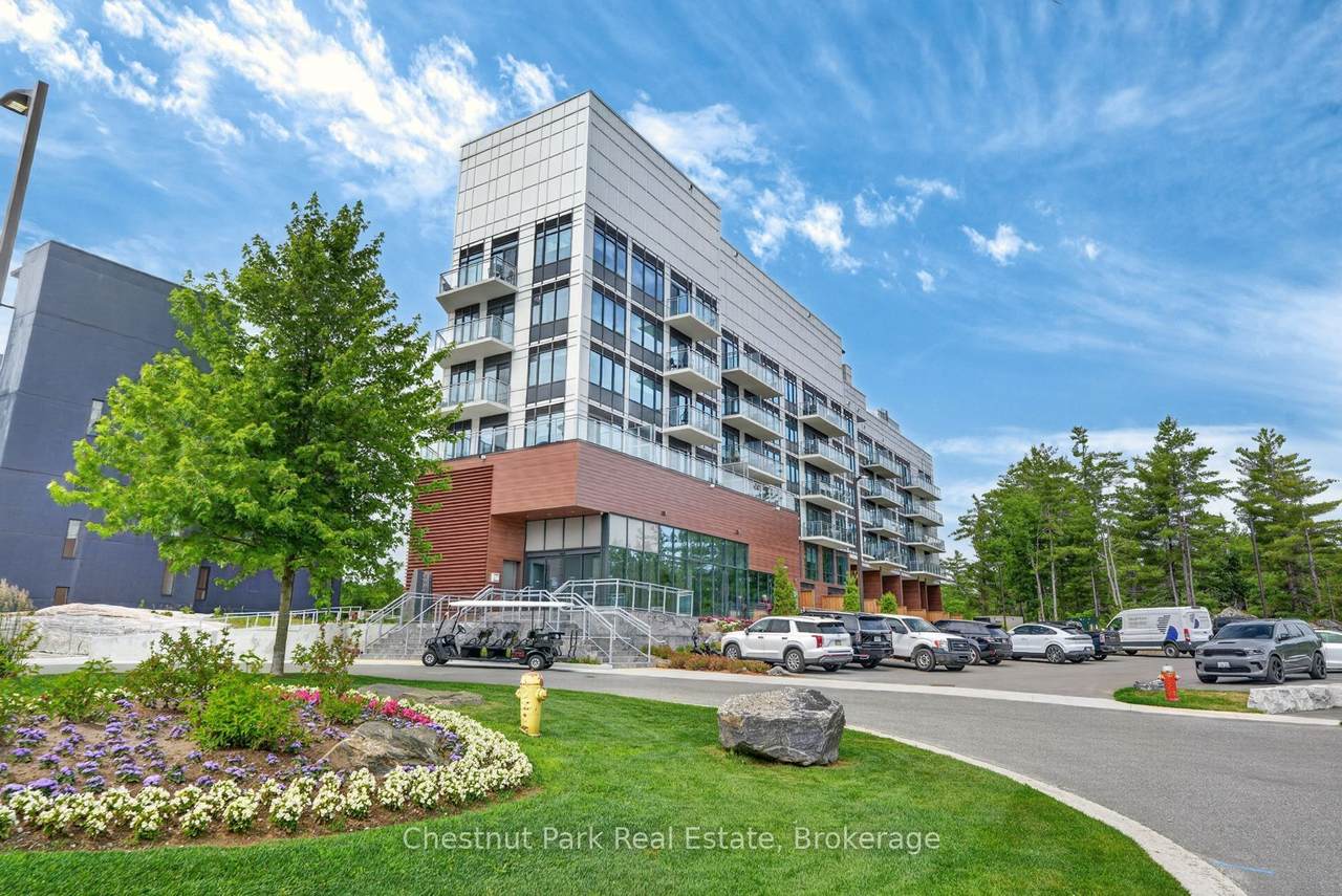 100 Carrick Trail - Photo 1
