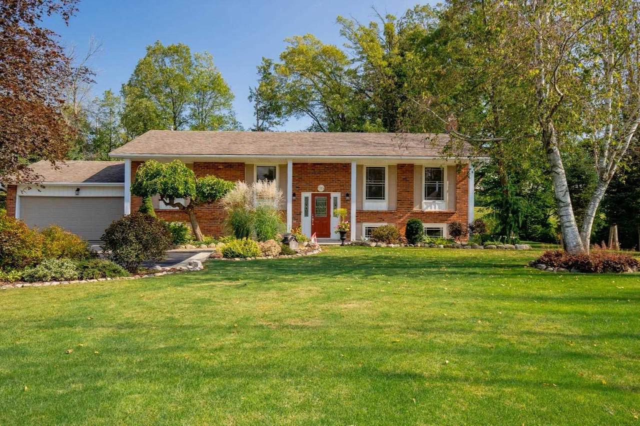 92 Carlisle Rd - Photo 1