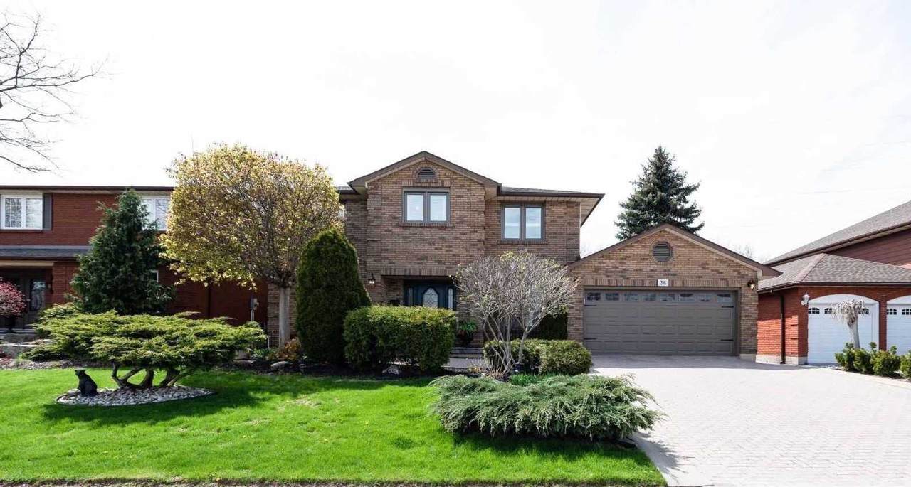 36 Elena Crt - Photo 1