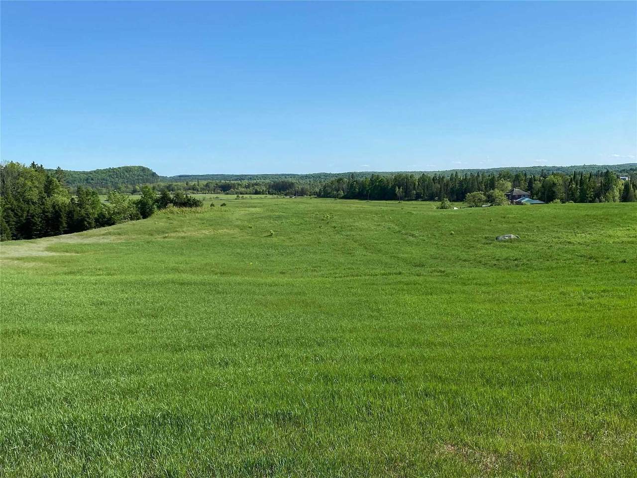 490 Hwy 520 Rd - Photo 1