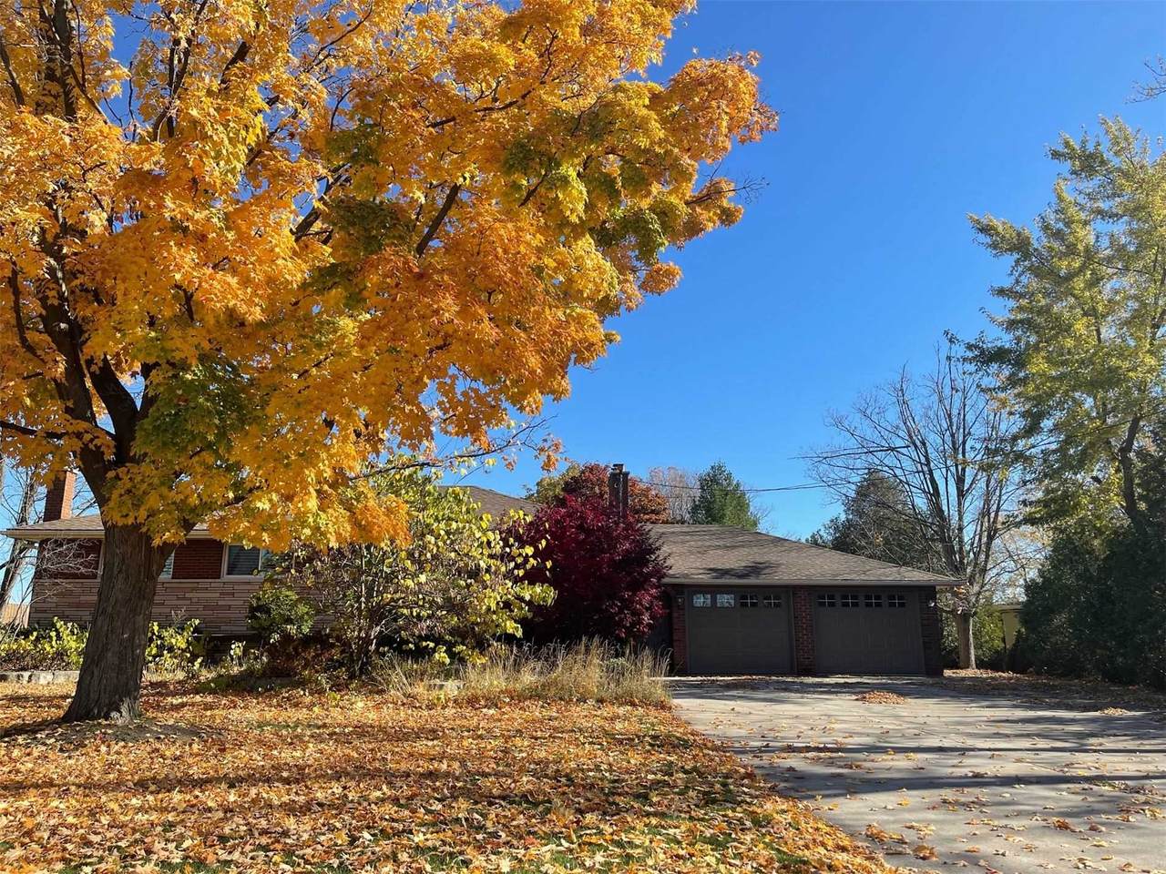 525 Fletcher Rd - Photo 1