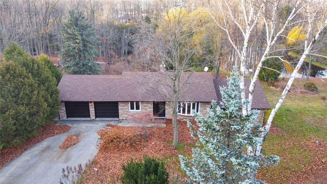 50 Maplewood Drive Dr - Photo 1