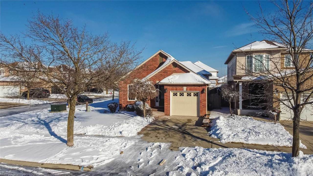 53 Hillgarden Dr - Photo 1