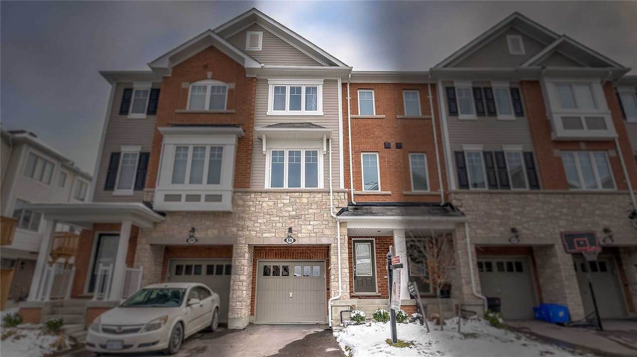 66 Hibiscus Lane - Photo 1