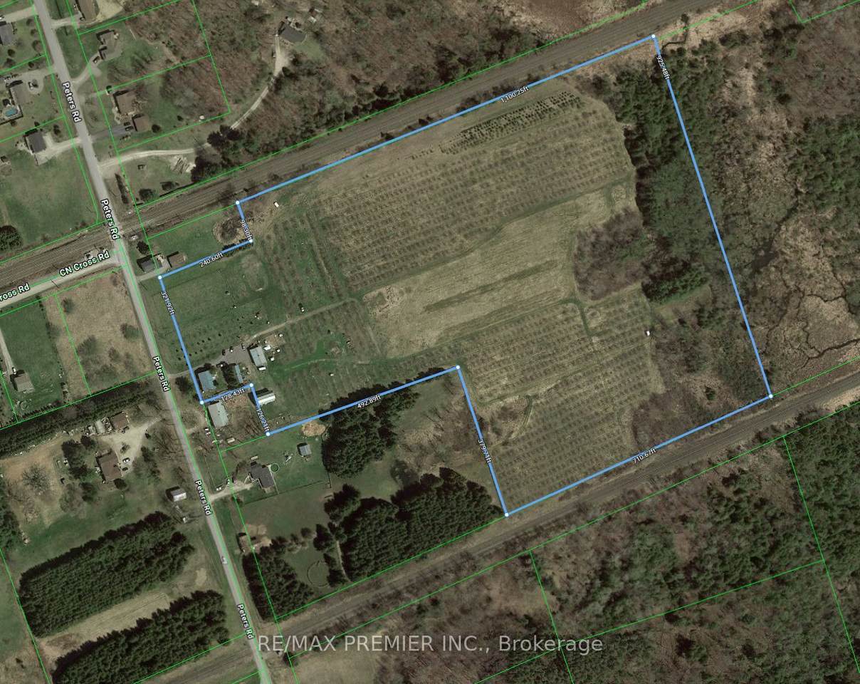 273 Peters Road - Photo 1