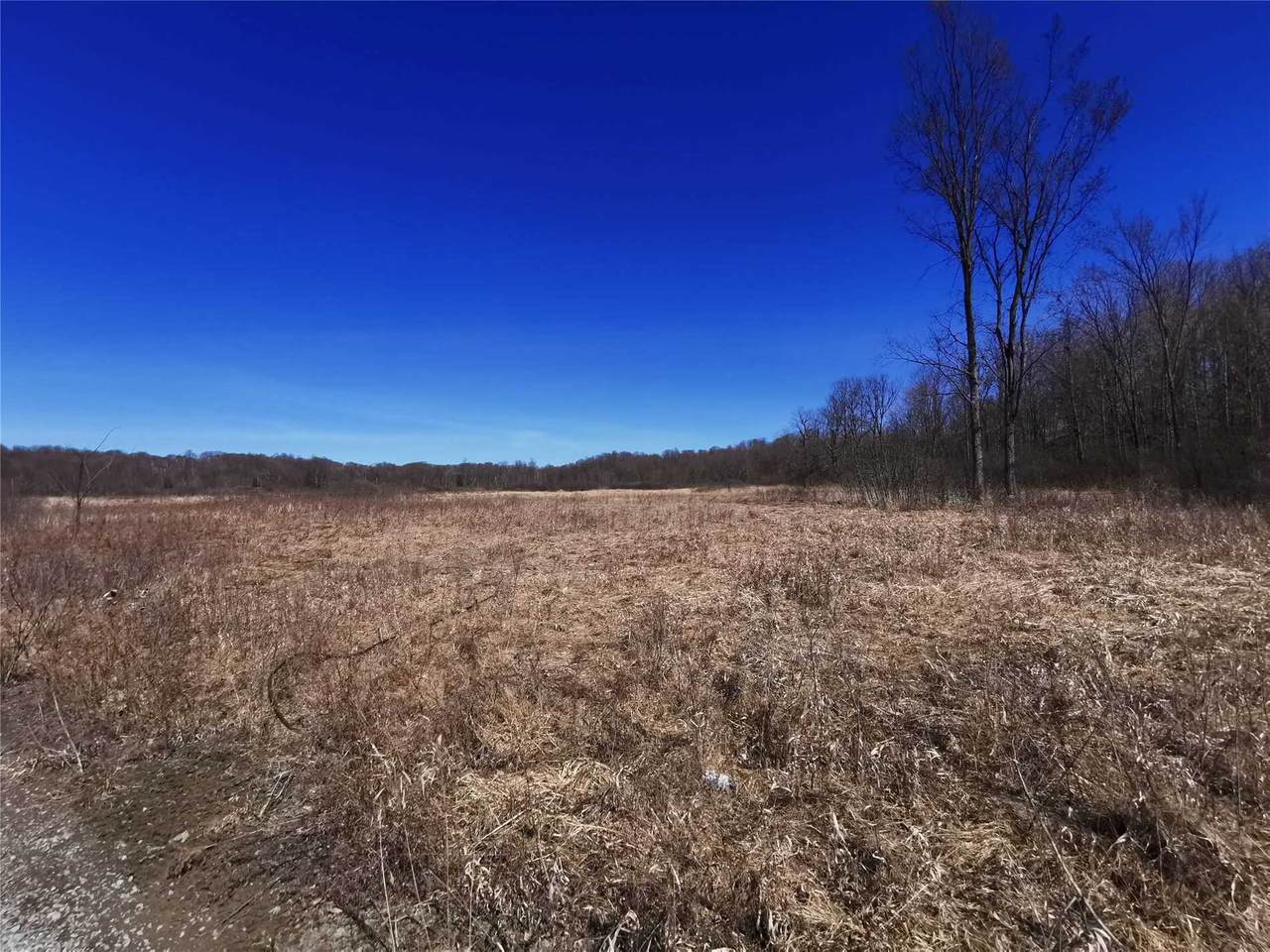 1082 Sand Bay Rd - Photo 1