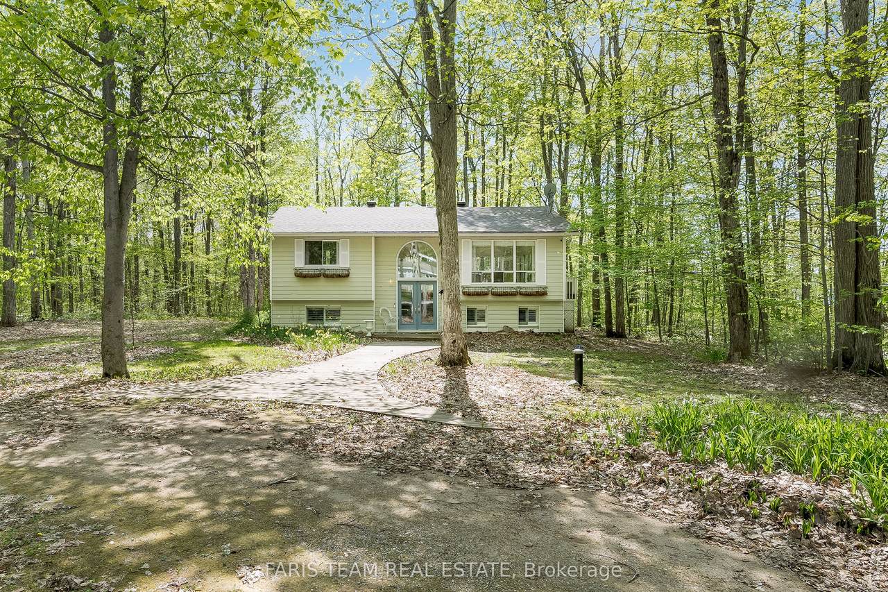 104 Silver Birch Drive - Photo 1