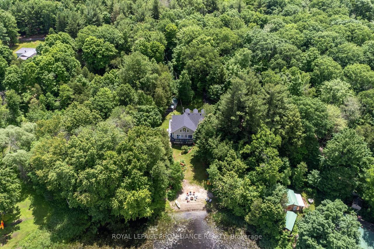 17B Hughes Lane - Photo 1