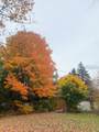 48 The Bridle Path - Photo 5
