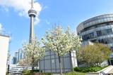 20 Blue Jays Way - Photo 36