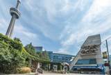 20 Blue Jays Way - Photo 43