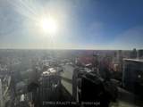 388 Yonge Street - Photo 10