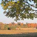 2960 Bradburn Road - Photo 41