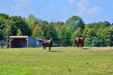 18555 Highway 12 N/A - Photo 32