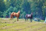 18555 Highway 12 N/A - Photo 38