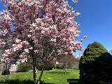 35 Crittenden Square - Photo 17