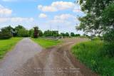 2300 Rosebank Road - Photo 5