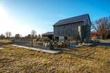 8923 Morning Glory Road - Photo 40