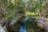 4904 10th Side Road - Photo 25