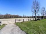 1148 10th Side Road - Photo 14